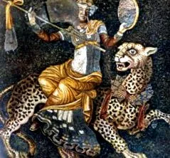 tigrisbőre