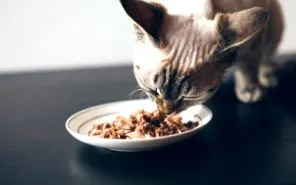 BARF ipari
