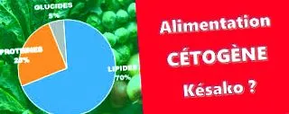 lchf ketogén
