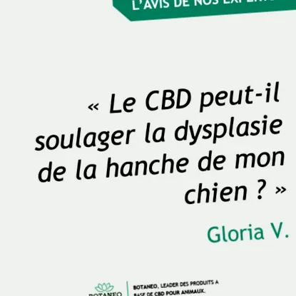 displazia
