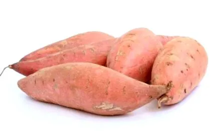 főzés
