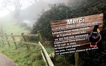 trebui
