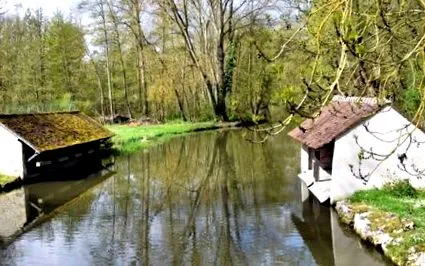 természete
