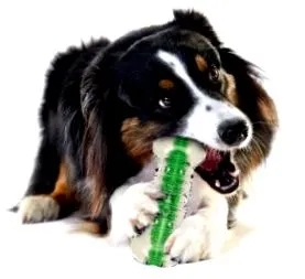 Petstages Crunchcore