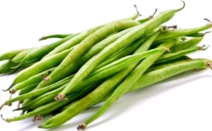 zöldbab