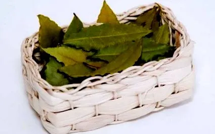 előnyei
