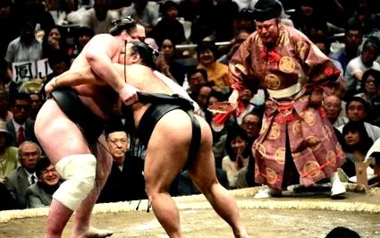 sumo sumo