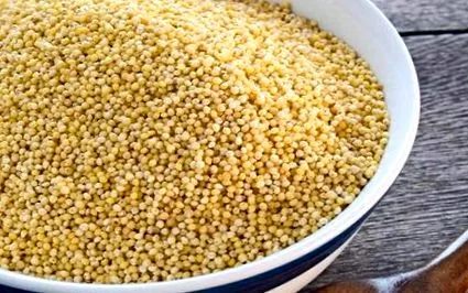 gabonakör quinoa