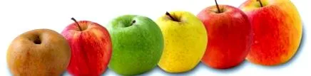 fructoza