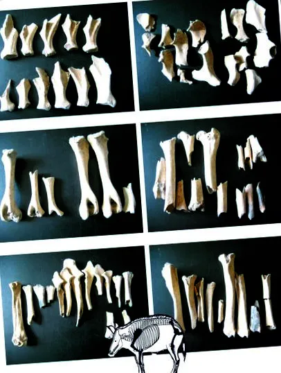 helyei