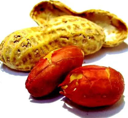 földimogyorót
