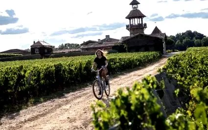 vinoterápia vinoterápia