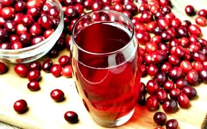 харчова
