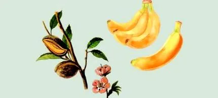 alimente