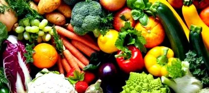dieta