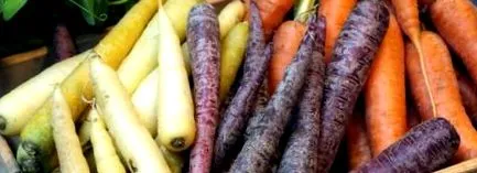 fructe