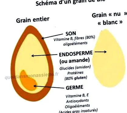 megelőzés
