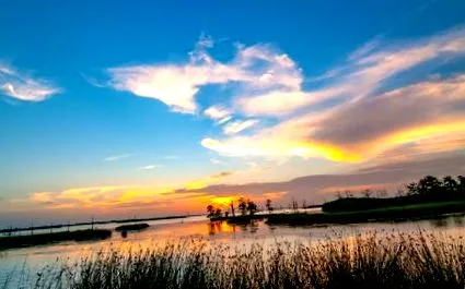 țării