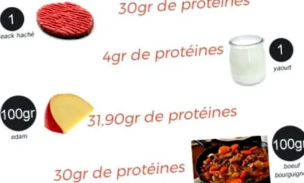 fehérjét