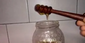 зърнени
