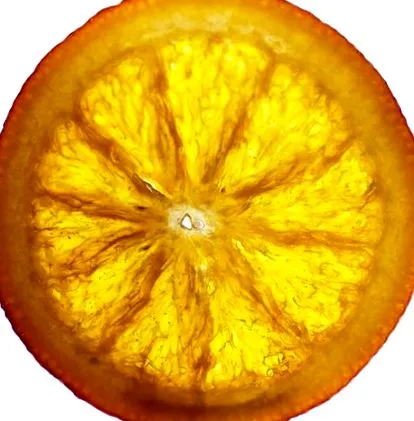 húslevest
