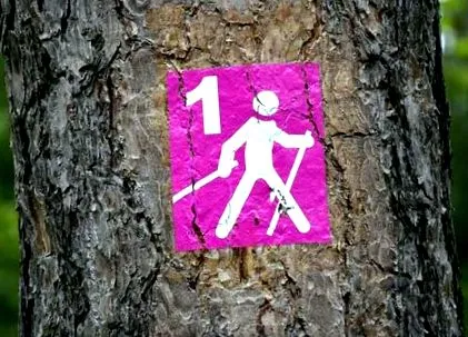 walking