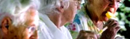 élelmiszer