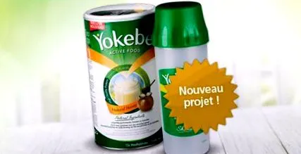 projekt