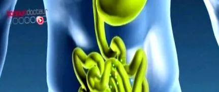 celui