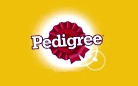 câini pentru