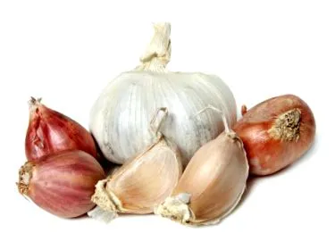 rákmegelőzés