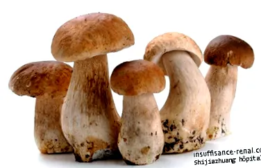ciupercile