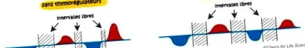 gestionare