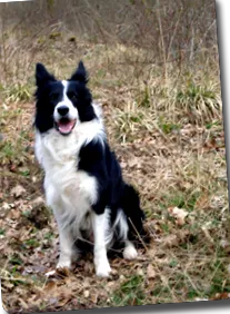 méretű milyen