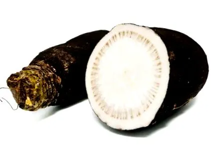 sucului