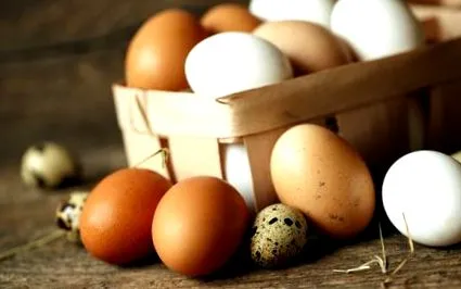 agricultura ecologică