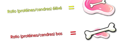 csonteledel vagy