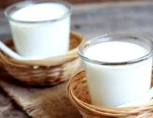 joghurt