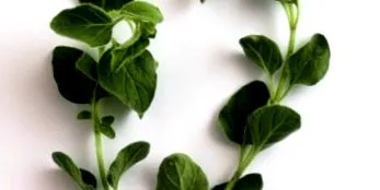 dietă
