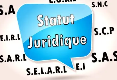 alegere sarl