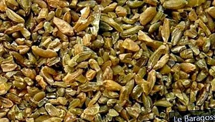 freekeh