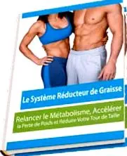 sistem