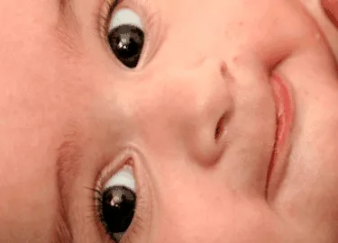 anyajegy