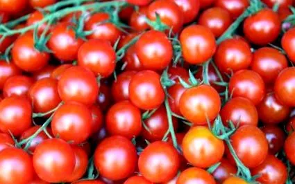 tomate