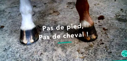 kell tudnia
