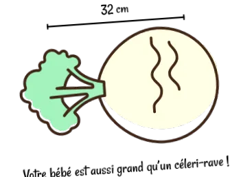 sarcinii