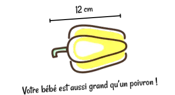 sarcină