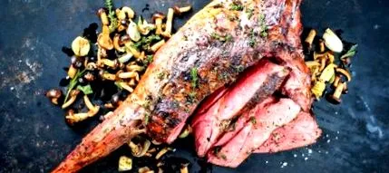 paleo