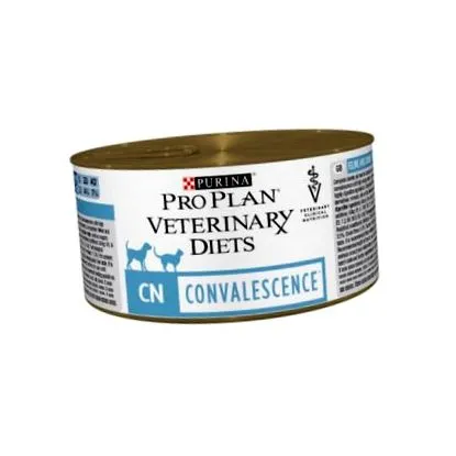 câini veterinară