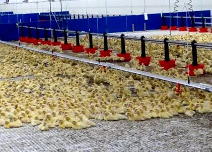 agri